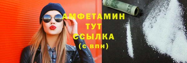 индика Абинск