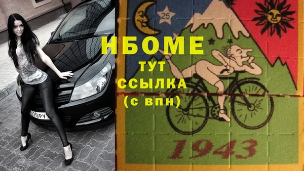 прущие грибы Сосновоборск
